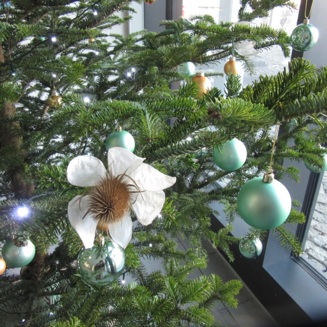 Christbaumschmuck aus dem Schulgarten