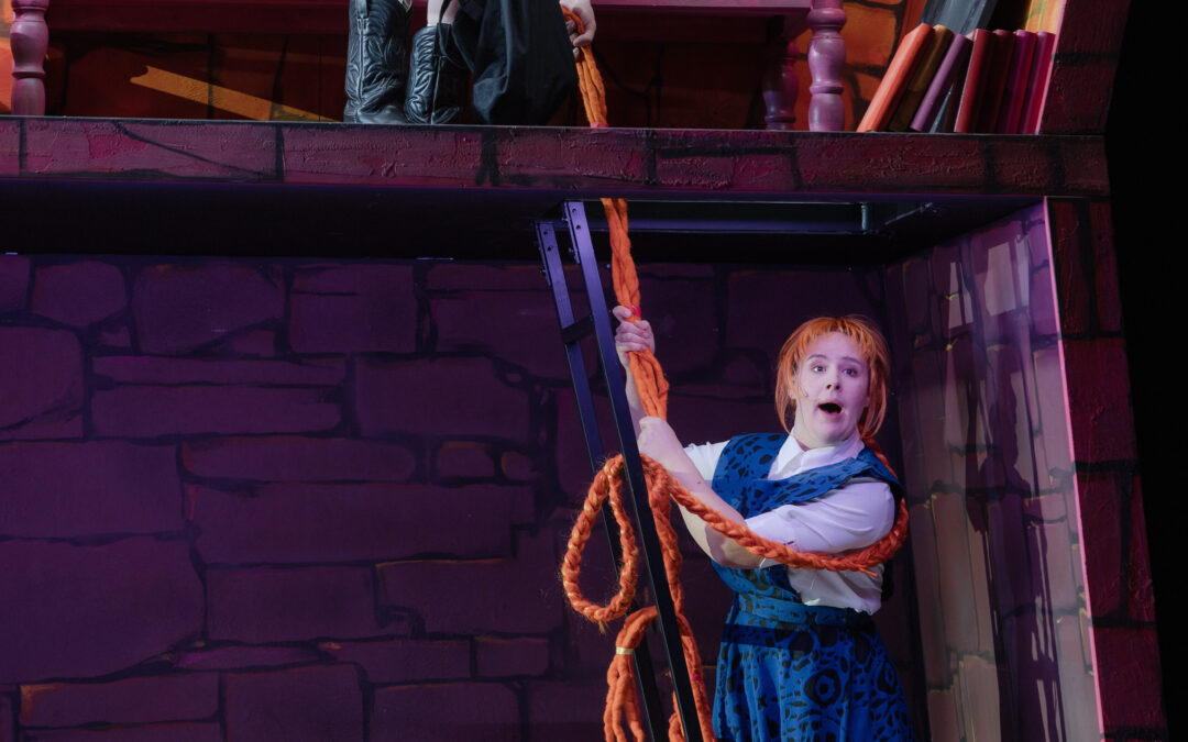 Rapunzel – ein haariges Abenteuer