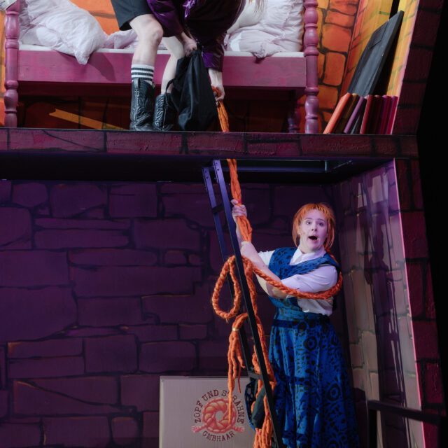 Rapunzel – ein haariges Abenteuer