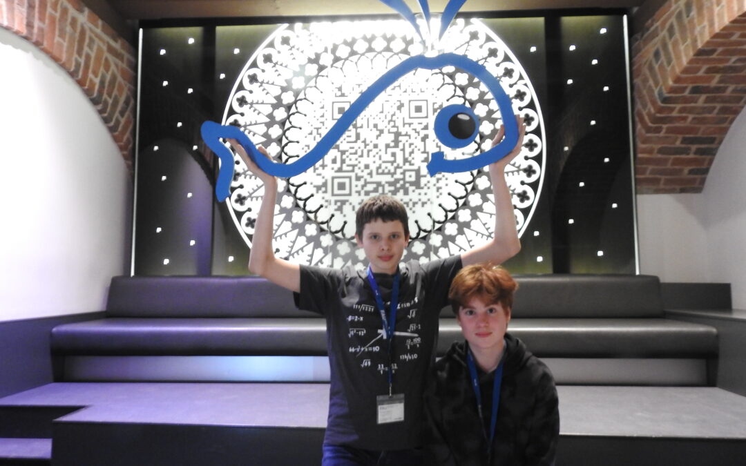 Beeindruckende Erfolge auf dem Weg zum Mathe-Olymp